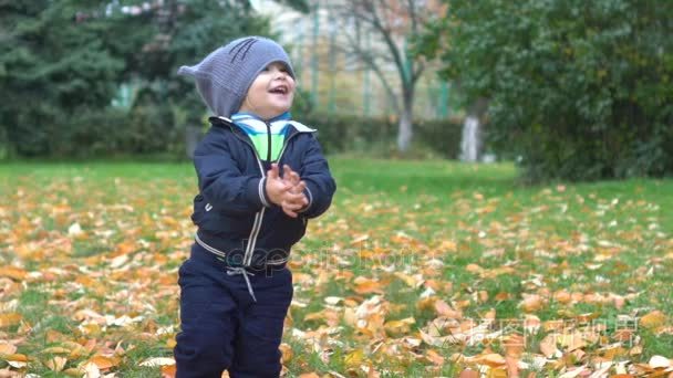 他拍手秋天的孩子。公园里的自然，爱走路，甜美可爱的孩子在公园里 9 月喜欢散步，用两手掌高兴地拍着开朗宝宝很高兴。拍拍手视频