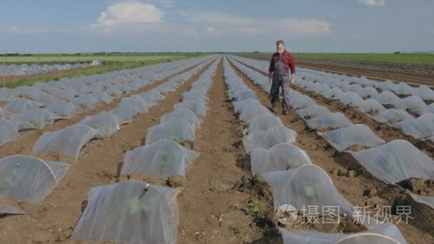 农民检查西瓜和甜瓜植物领域视频