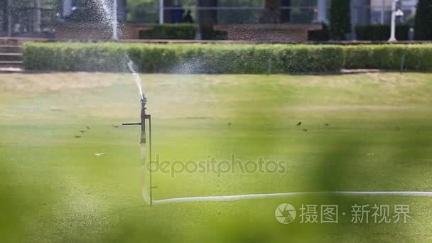 施普林格浇水在花园的草地视频