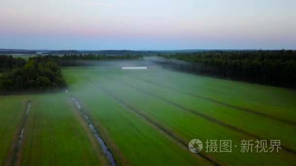 雾在日落时，现场的航拍视频。美丽的景色的森林和字段