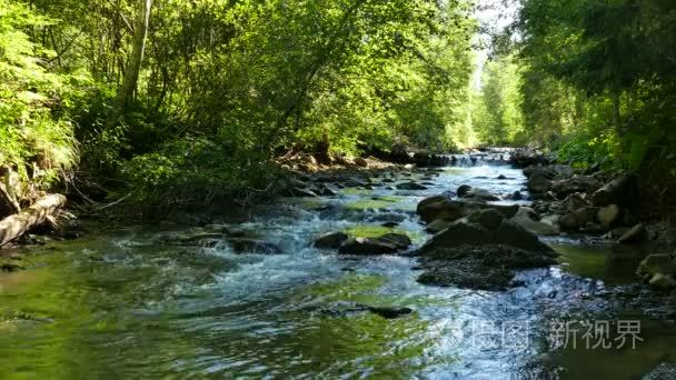 4 k.小山区河流用石块和树木视频