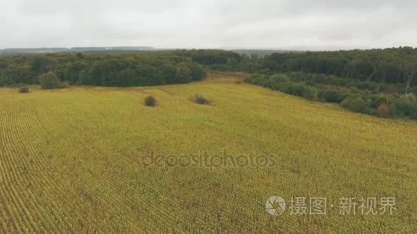 场对俄罗斯的鸟瞰图