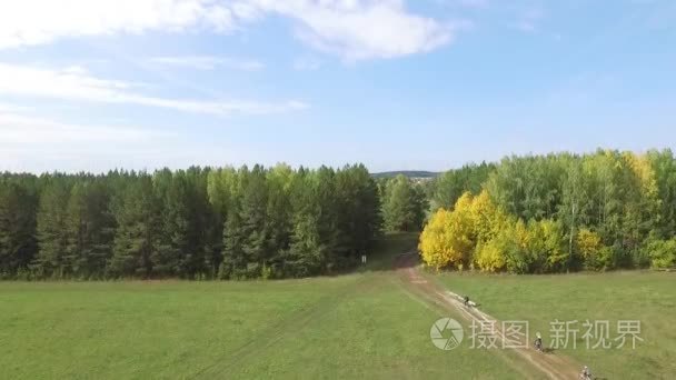 勒芒在美丽多彩的夏天自然的道路上的自行车赛。画面。从积极的自行车旅行，林下的风景。骑自行车沿着森林道路在一个阳光明媚的春日。美丽视频