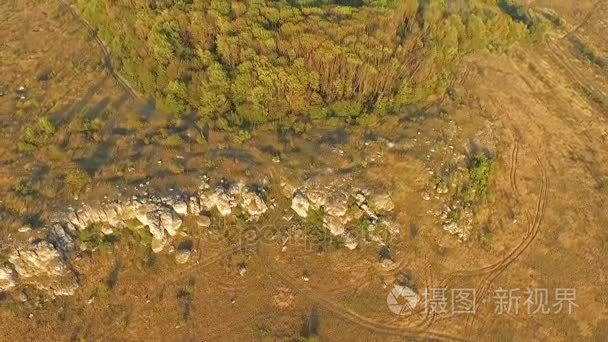 田野和树林在蓝蓝的天空下视频