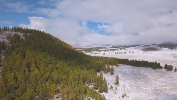 空中： 下雪的性质。松树挺立在雪地里。在森林里的冬天