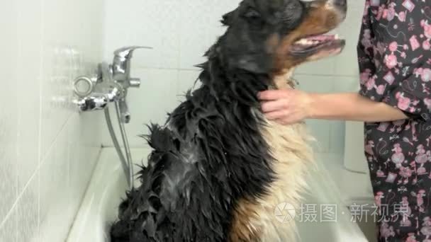 洗个澡视频素材