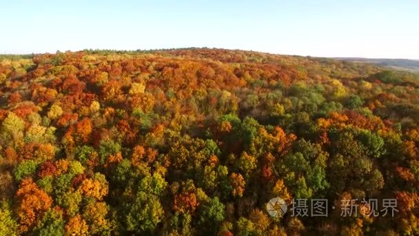 航拍画面视图。在飞越森林 牧场和山丘日落柔和的光线与深山秋色