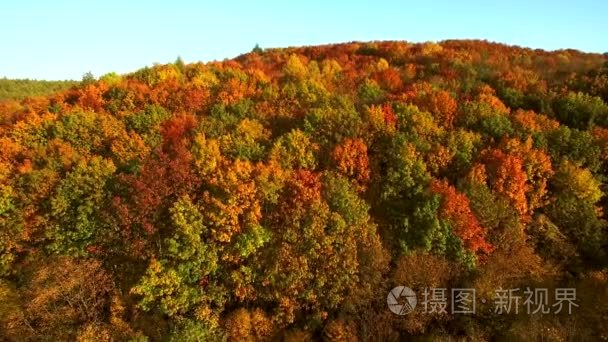 航拍画面视图。在飞越森林、 牧场和山丘日落柔和的光线与深山秋色