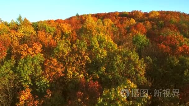 航拍画面视图。在飞越森林、 牧场和山丘日落柔和的光线与深山秋色