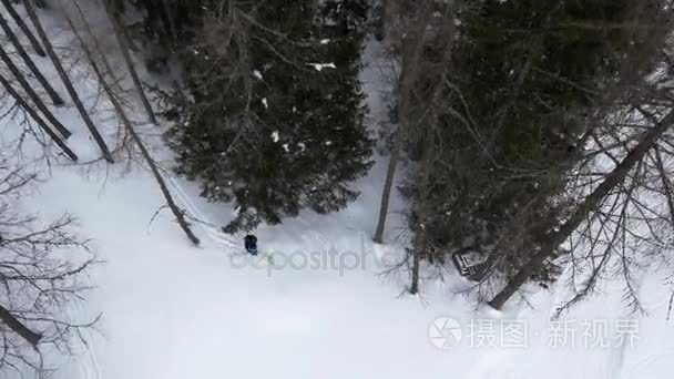 头顶上空中无人机飞行制订在滑雪男子滑雪雪森林树林中。在山自然户外的冬天雪。滑雪登山活动。直下 perspective.4k 顶视