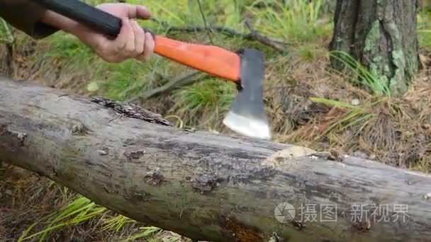 伐木工人在森林里砍树视频