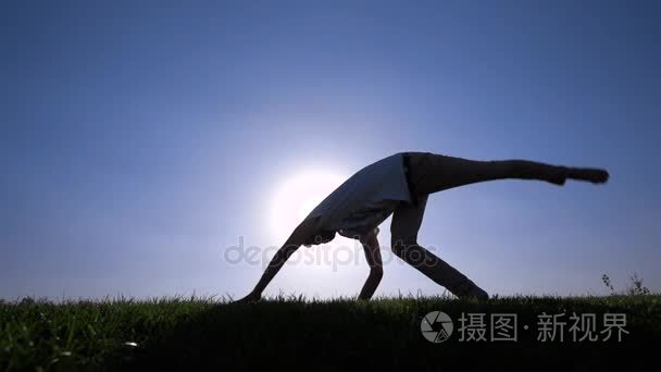 草坪上的卡波耶拉视频