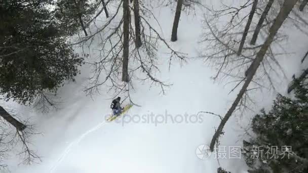 头顶上空中飞行制订在滑雪男子滑雪雪森林树林中。在山自然户外的冬天雪。滑雪登山活动。直下 perspective.4k 顶视