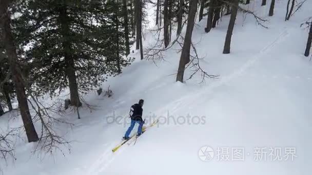 头顶上空中无人机飞行制订在滑雪男子滑雪雪森林树林中。在山自然户外的冬天雪。滑雪登山活动。直下 perspective.4k 顶视