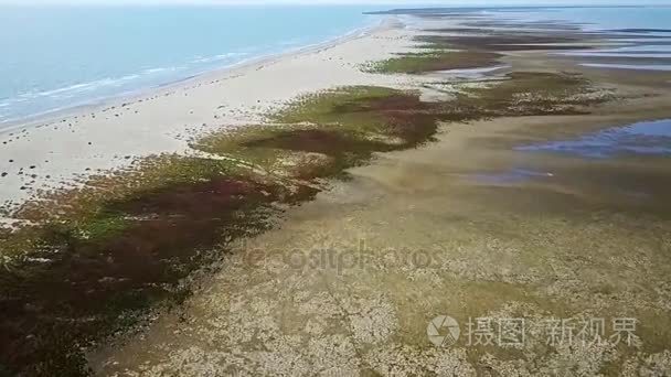 风景在黑海海岸  罗马尼亚