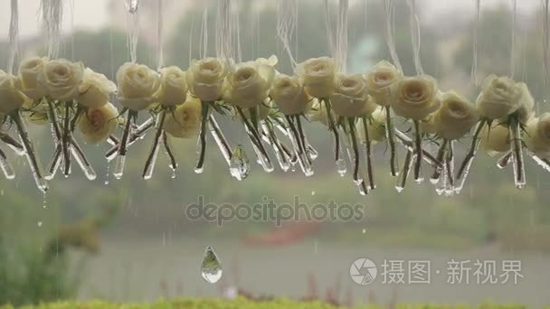 白色玫瑰和水晶在雨中的特写视频