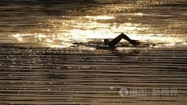 强的人游泳前面爬行在一条波光粼粼的河在晚上在夏天