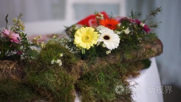 桦木装饰青苔和装饰与 gerberas