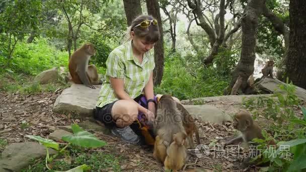 女孩喂养野生猴子视频