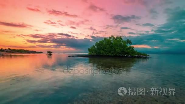 印尼巴厘岛梦日落时差红树林视频