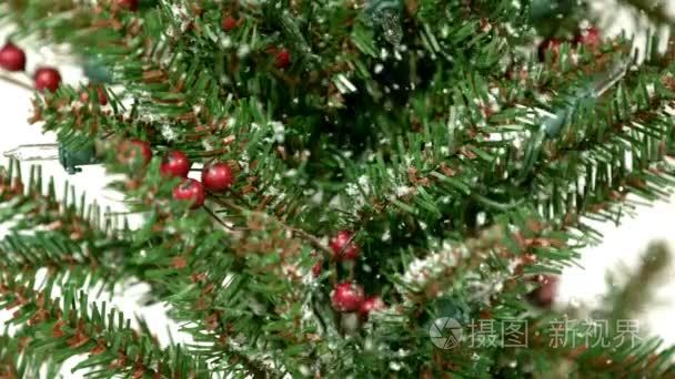 雪花轻轻飘落在圣诞树上视频