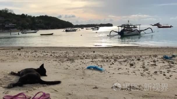 印尼巴厘岛梦岛热带海滩日落视频