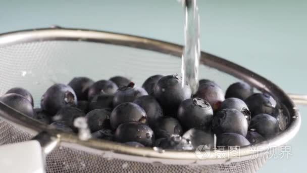 蓝莓水流量视频