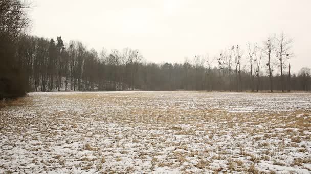 冬季覆盖着雪的草甸和湿地  景观 Poodri  保护景观面积  非常好  世界范围内湿地