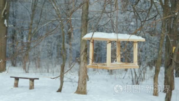 冬季公园里的一个空鸟饲养机