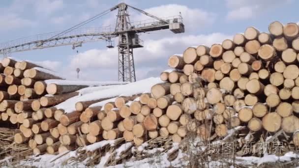 木制品厂外积雪切桩的全景图视频