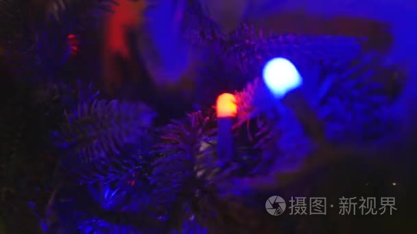 圣诞装饰品分支杉木视频
