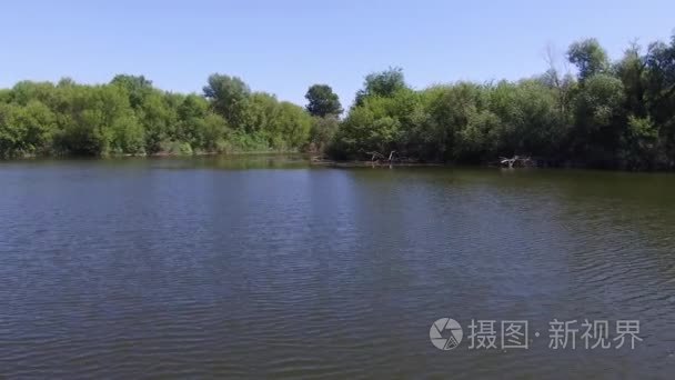 蓝色的夏日河流。河湖与森林自然夏天风景水视频