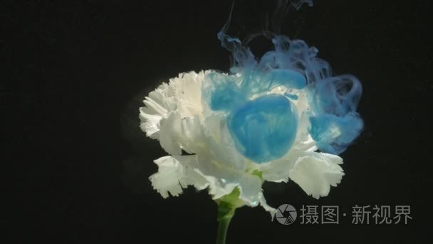 抽象自然与花和墨水云彩视频