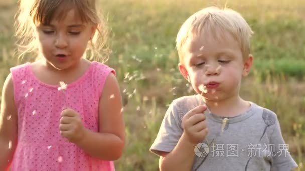 夏天两个孩子吹蒲公英视频