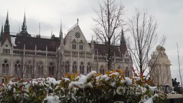 匈牙利议会附近积雪的灌木丛视频