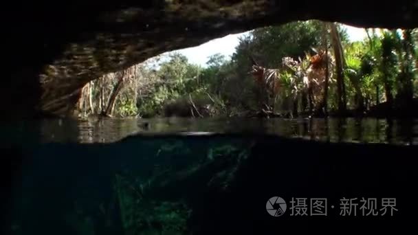 尤卡坦半岛墨西哥沼穴视频