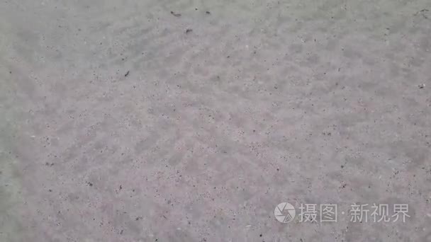 波斯湾沙底海水浅水视频