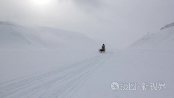 北极白雪路男子骑狗雪橇队视频