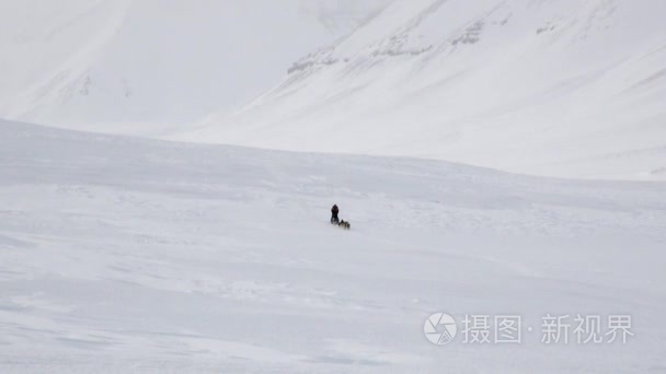北极白雪路男子骑狗雪橇队视频