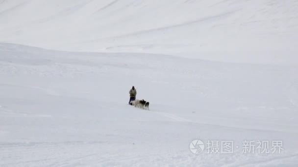 北极白雪路男子骑狗雪橇队视频