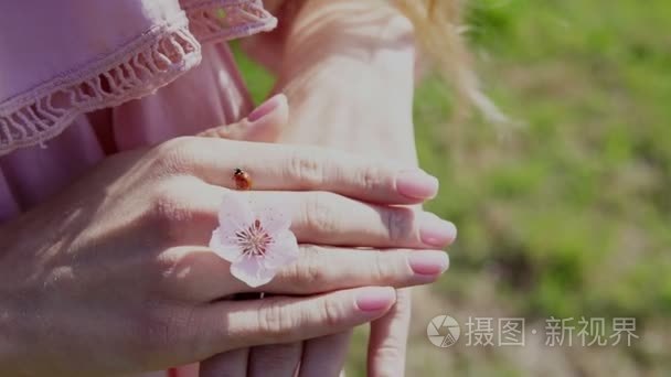 花的女人手上的昆虫瓢虫视频