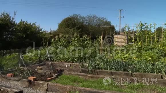 花园床和地块视频