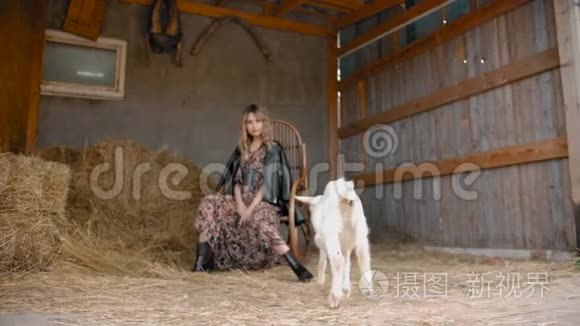 谷仓里的时髦女人和山羊视频