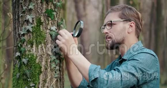 集中生物学家研究森林环境视频