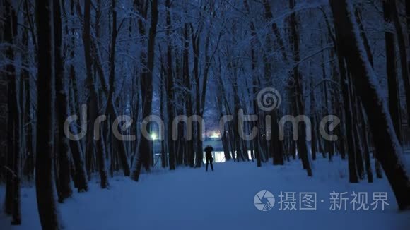 滑雪者的剪影，晚上骑在雪地的冬林里。 蓝色小时