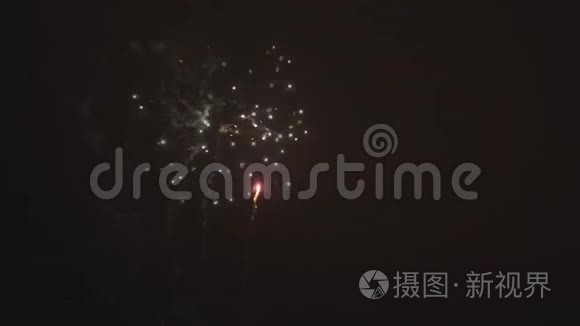 夜空中各种颜色的绚丽烟花