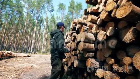 伐木工人进行的木材测量视频