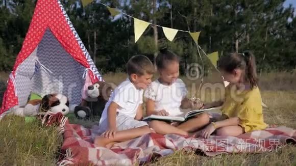 可爱的孩子们、可爱的女孩子和漂亮的男孩在树林里野餐时喜欢书上的故事