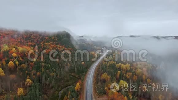 在浓雾中的山脉上，在一片黄色的秋林中沿途的空中景色
