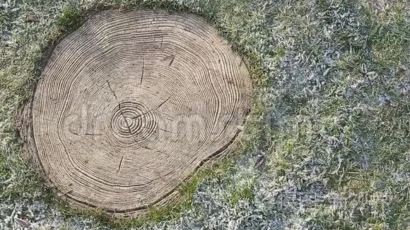 老式帽子雪草存根背景高清镜头视频